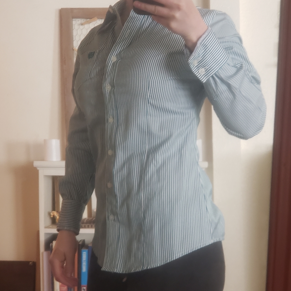 Chinch pinstripe green button down shirt